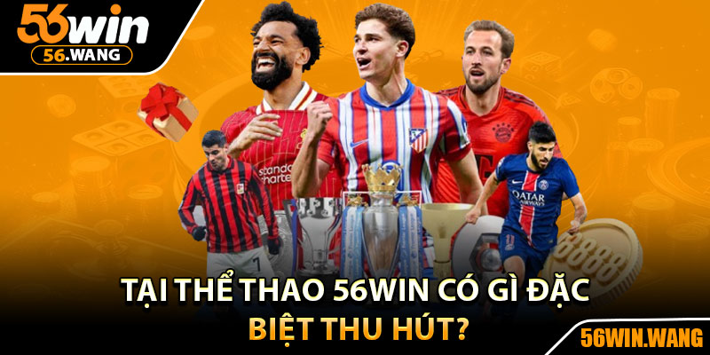 Thể Thao 56Win – Thiên Đường Sôi Động Bậc Nhất Hiện Nay 2 Tại thể thao 56Win có gì đặc biệt thu hút?